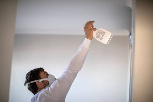 Best Mold Cleaning Services  in Tea, SD