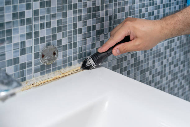 Best Same-Day Mold Removal  in Tea, SD