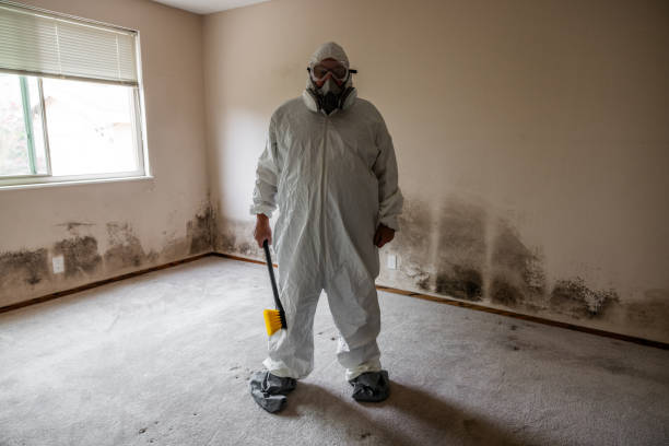 Professional Mold Removal in Tea, SD